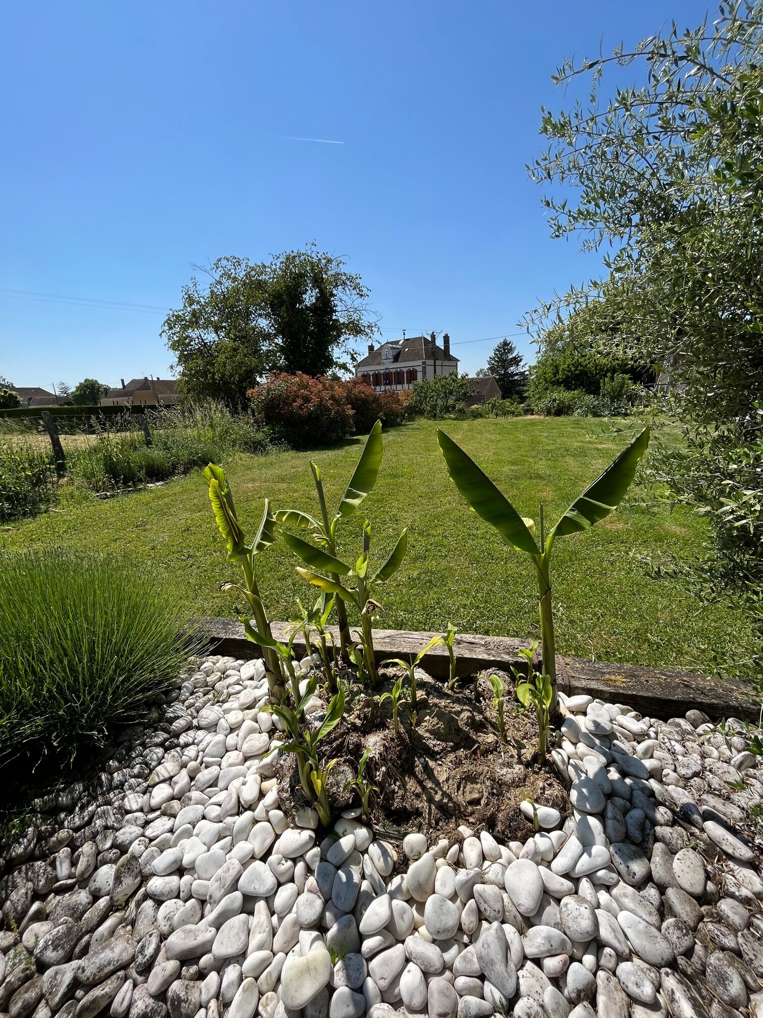 Terrain et pelouse de la maison de vacances en location en bourgogne Terrain et pelouse de la maison de vacances en location en bourgogne